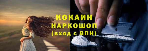 спайс Инсар