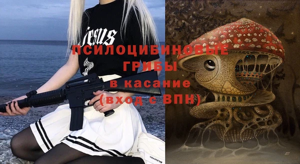 спайс Инсар