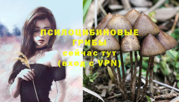 альфа пвп Усинск