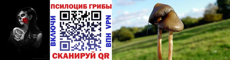 Псилоцибиновые грибы прущие грибы  Купить  Опочка 